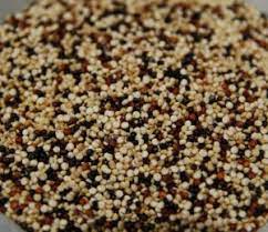 Quinoa multicolor 250gr