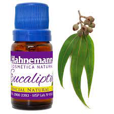 Aceite Esencial Eucaliptus – Hahnemann
