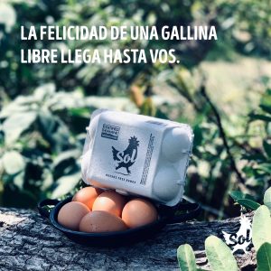 Huevos Sol Free Range – orgánicos